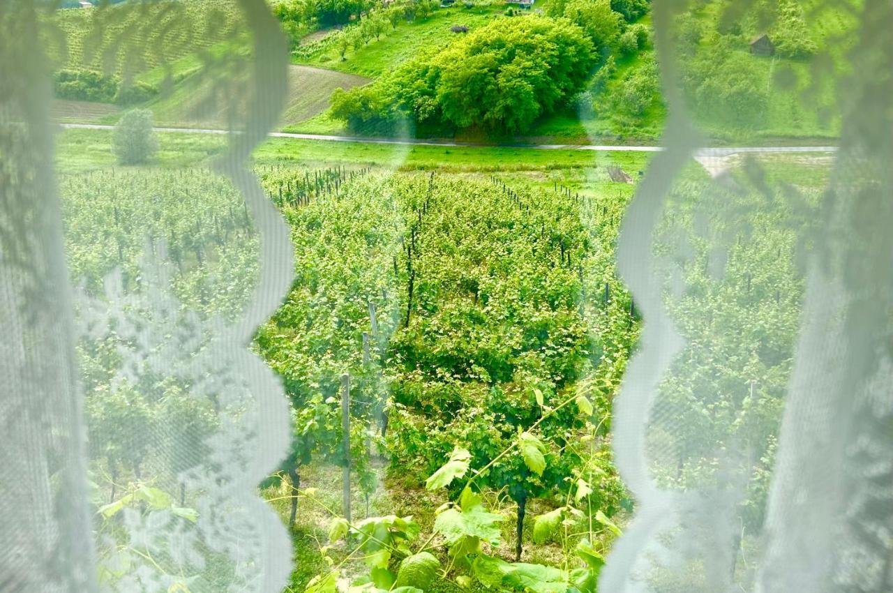 Wine Paradise Sveti Ivan Zelina エクステリア 写真