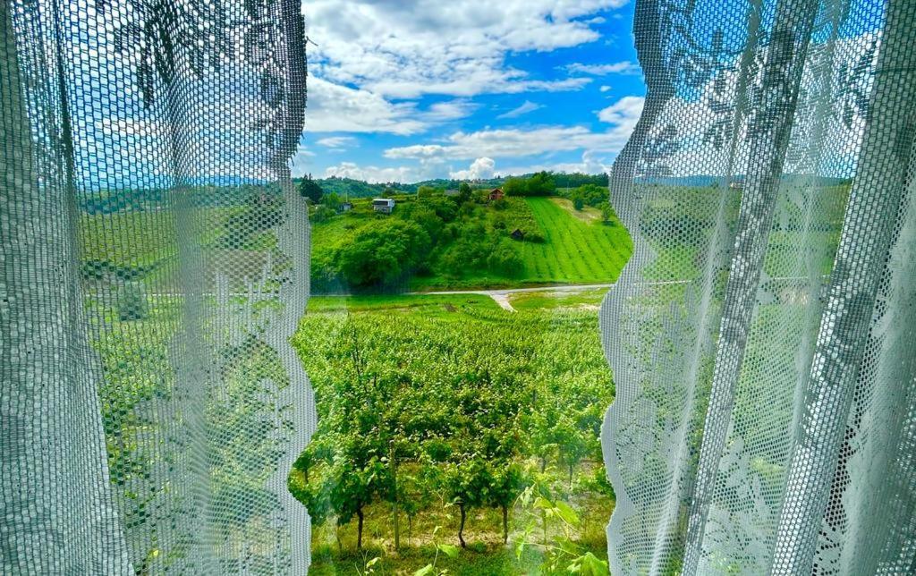 Wine Paradise Sveti Ivan Zelina エクステリア 写真