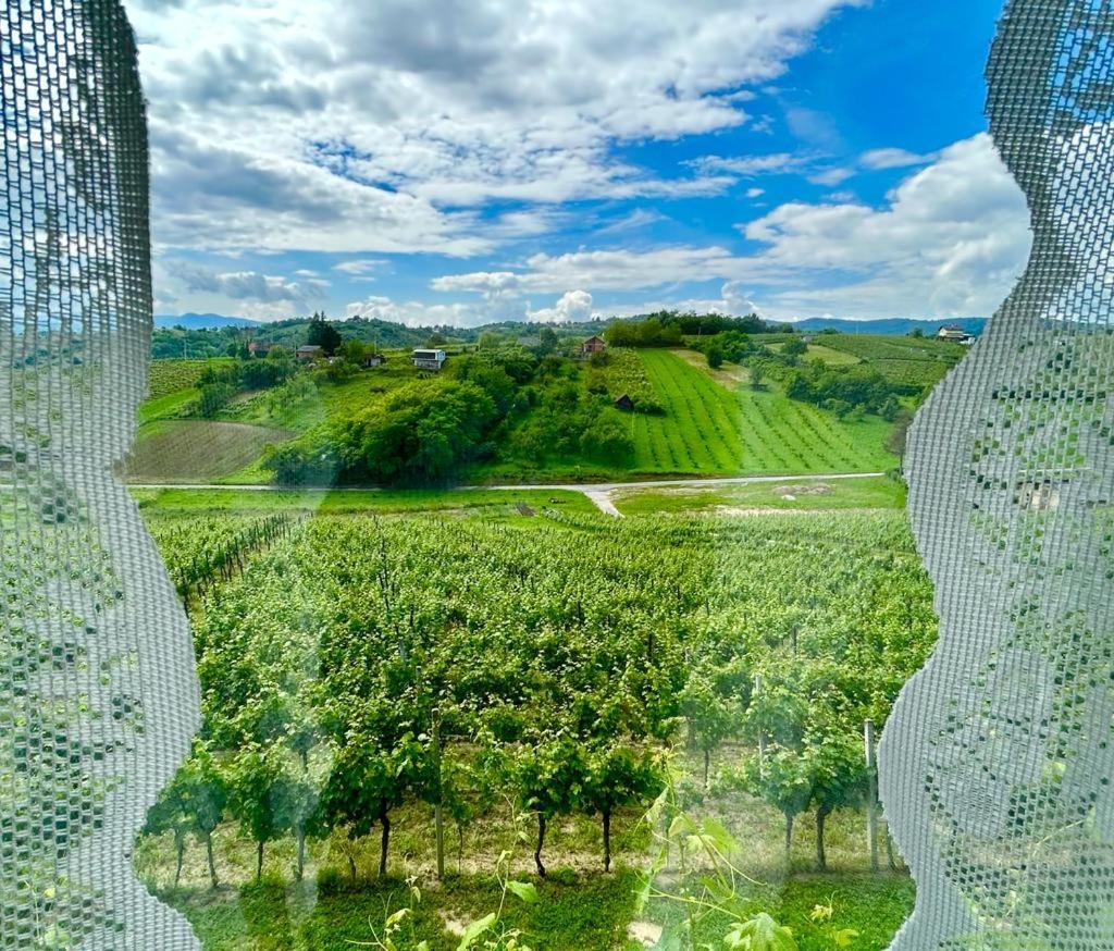 Wine Paradise Sveti Ivan Zelina エクステリア 写真