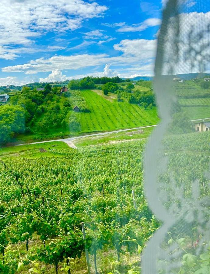 Wine Paradise Sveti Ivan Zelina エクステリア 写真