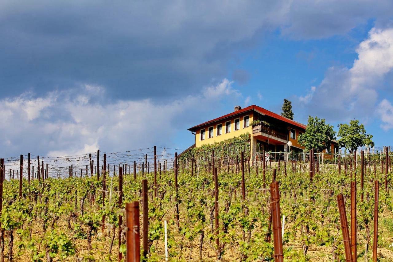 Wine Paradise Sveti Ivan Zelina エクステリア 写真