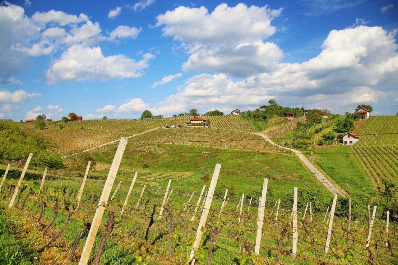 Wine Paradise Sveti Ivan Zelina エクステリア 写真