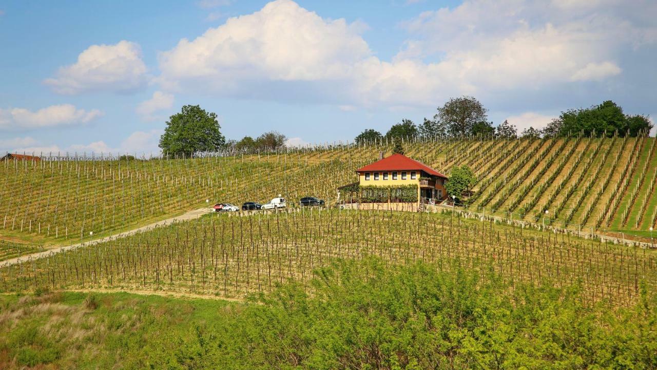 Wine Paradise Sveti Ivan Zelina エクステリア 写真